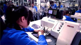 紅領集團張蘊藍 智造成就新商業傳奇