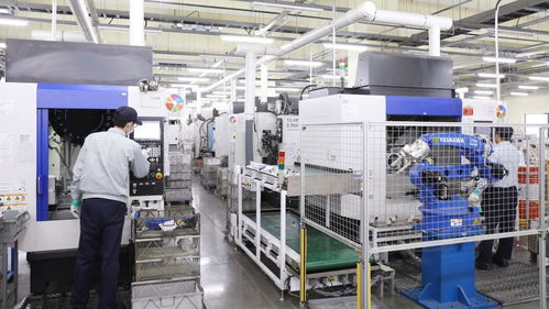 參考消息特稿 外企深耕中國向 新 而行