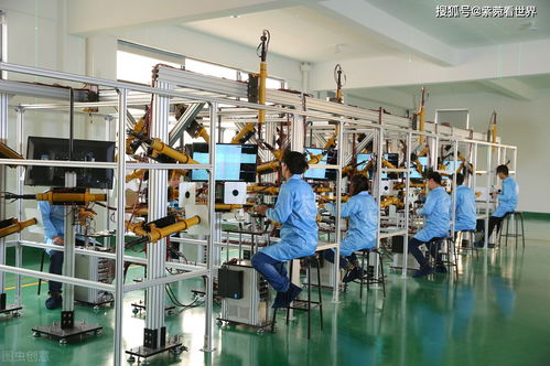 41歲母親再婚生子，壓榨大兒子引發(fā)社會(huì)爭議